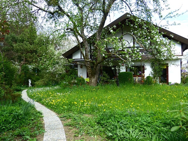 Love Spells At Home